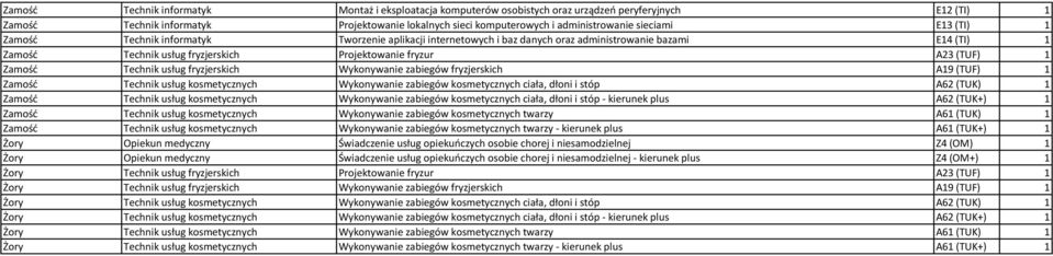 Zamość Technik usług fryzjerskich Wykonywanie zabiegów fryzjerskich A19 (TUF) 1 Zamość Technik usług kosmetycznych Wykonywanie zabiegów kosmetycznych ciała, dłoni i stóp A62 (TUK) 1 Zamość Technik