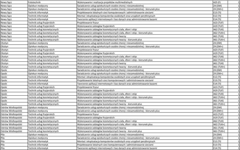 sieciami E13 (TI) 1 Nowy Sącz Technik informatyk Montaż i eksploatacja komputerów osobistych oraz urządzeń peryferyjnych E12 (TI) 1 Nowy Sącz Technik informatyk Tworzenie aplikacji internetowych i