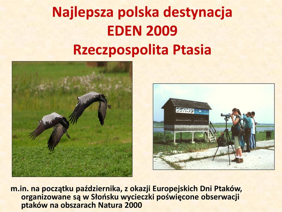 na początku października, z okazji Europejskich Dni