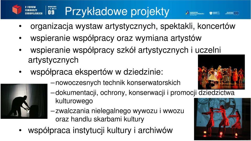 dziedzinie: nowoczesnych technik konserwatorskich dokumentacji, ochrony, konserwacji i promocji dziedzictwa