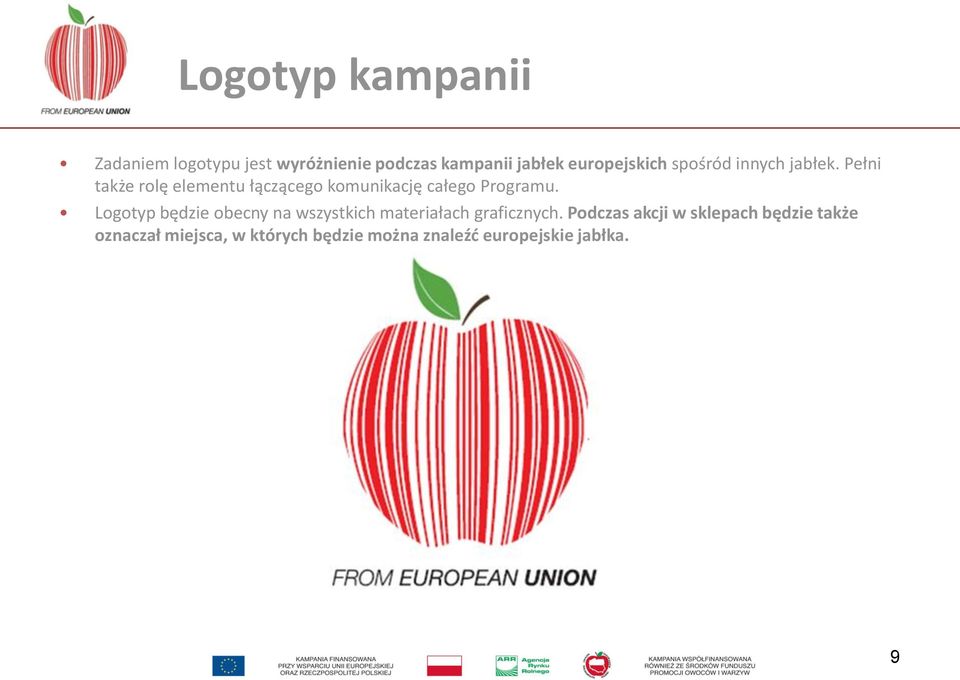Pełni także rolę elementu łączącego komunikację całego Programu.