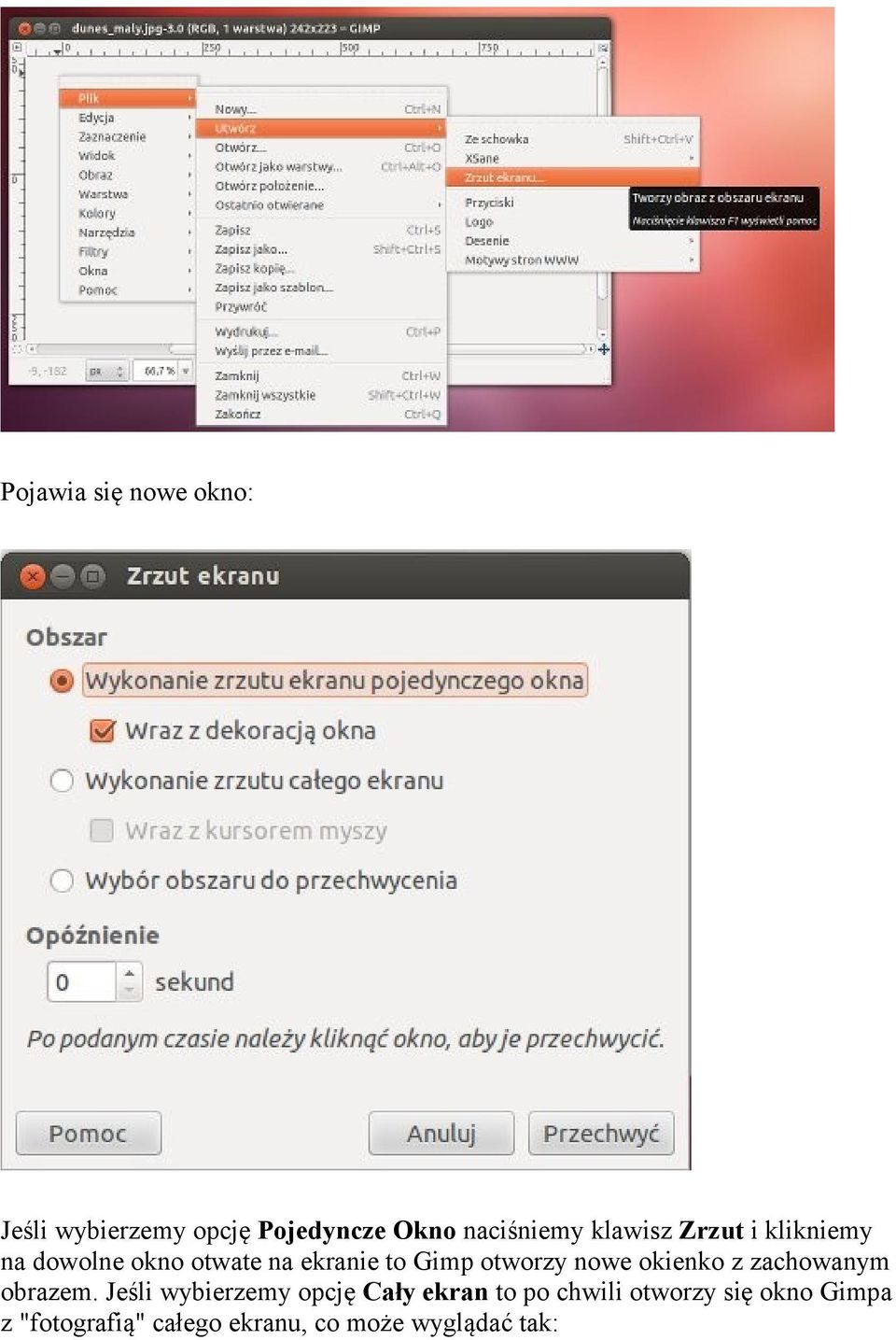 nowe okienko z zachowanym obrazem.
