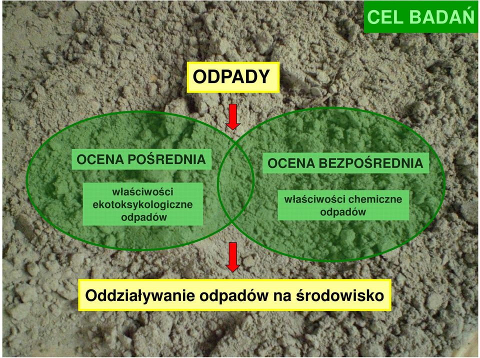 OCENA BEZPOŚREDNIA właściwości