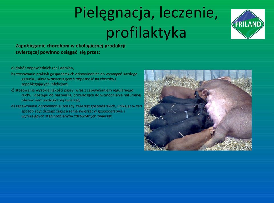 wysokiej jakości paszy, wraz z zapewnianiem regularnego ruchu i dostępu do pastwiska, prowadzące do wzmocnienia naturalnej obrony immunologicznej zwierząt; d)