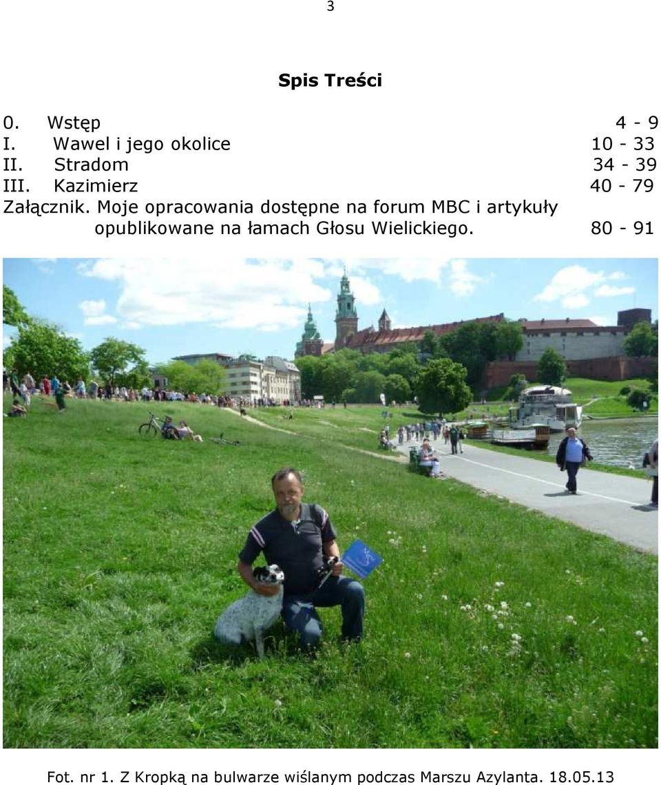 Moje opracowania dostępne na forum MBC i artykuły opublikowane na