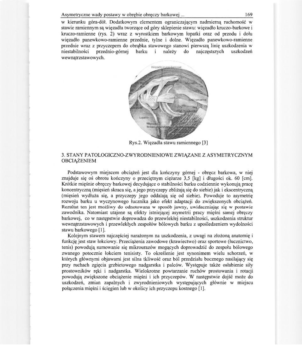 2) wraz z wyrostkiem barkowym łopatki oraz od przodu i dołu więzadło panewkowo-ramienne przednie, tylne i dolne.