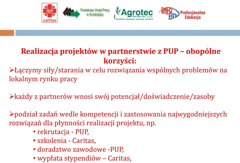 potencjał/doświadczenie/zasoby podział zadań wedle kompetencji i zastosowania najwygodniejszych