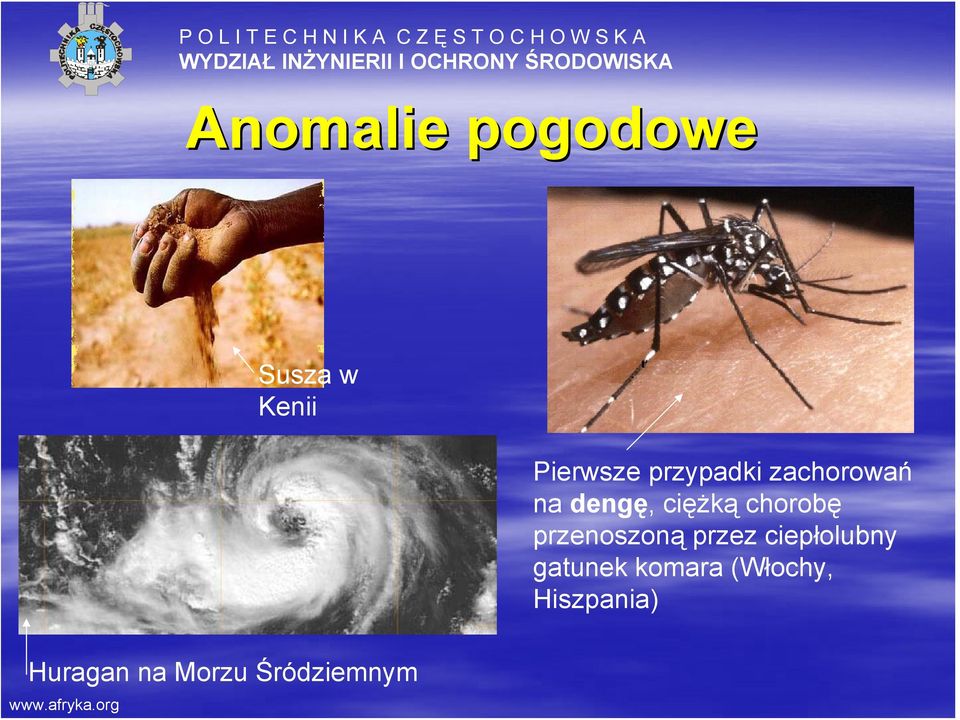 przenoszoną przez ciepłolubny gatunek komara