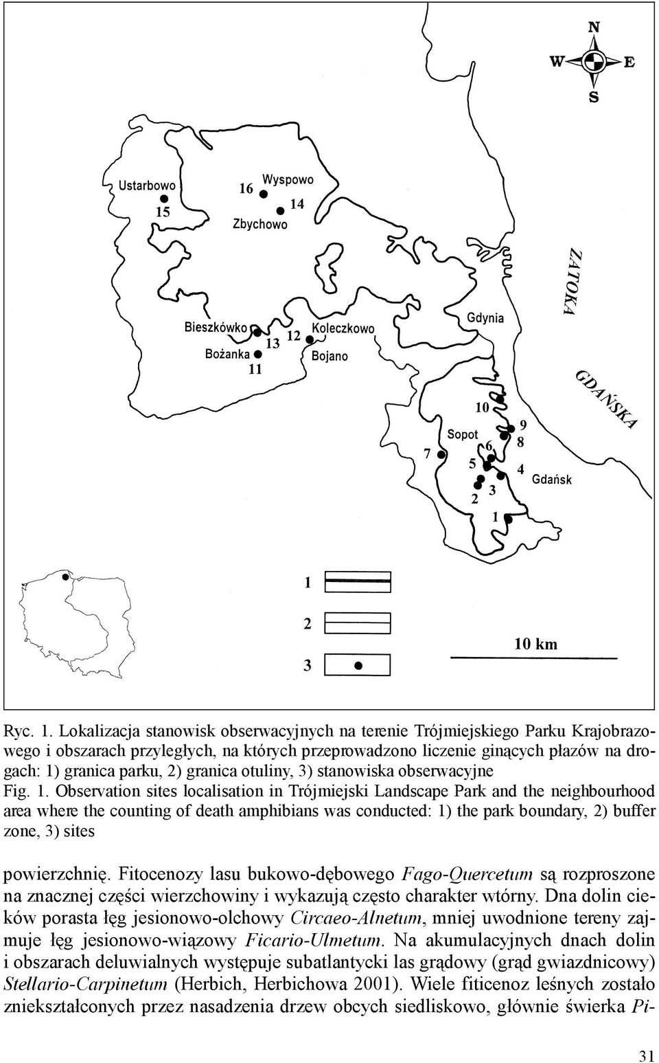 granica otuliny, 3) stanowiska obserwacyjne Fig. 1.