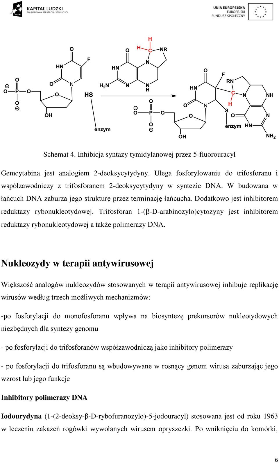 Dodatkowo jest inhibitorem reduktazy rybonukleotydowej. Trifosforan 1-( -D-arabinozylo)cytozyny jest inhibitorem reduktazy rybonukleotydowej a także polimerazy DNA.