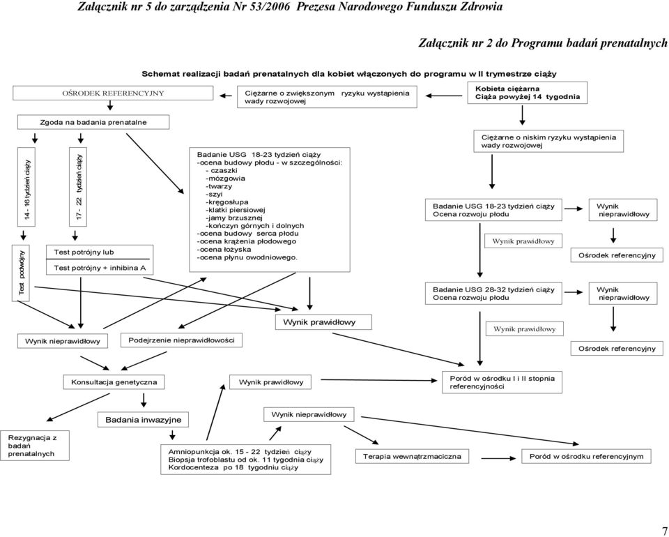płodu - w szczególności: - czaszki -mózgowia -twarzy -szyi -kręgosłupa -klatki piersiowej -jamy brzusznej -kończyn górnych i dolnych -ocena budowy serca płodu -ocena krążenia płodowego -ocena łożyska