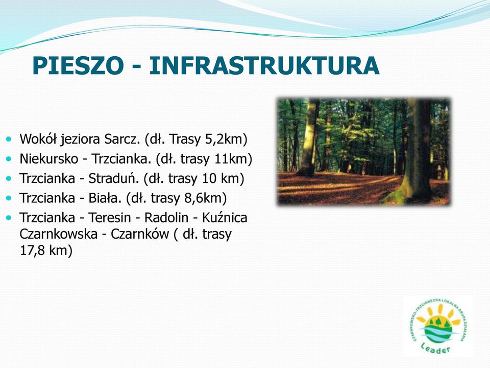 trasy 11km) Trzcianka - Straduń. (dł.
