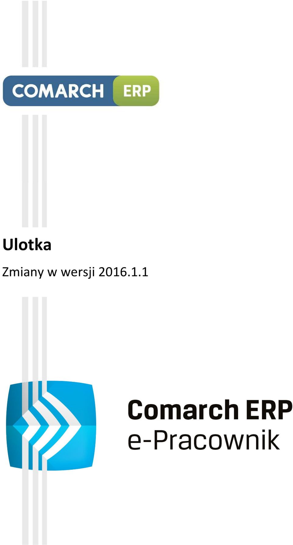 .1.1 Comarch ERP