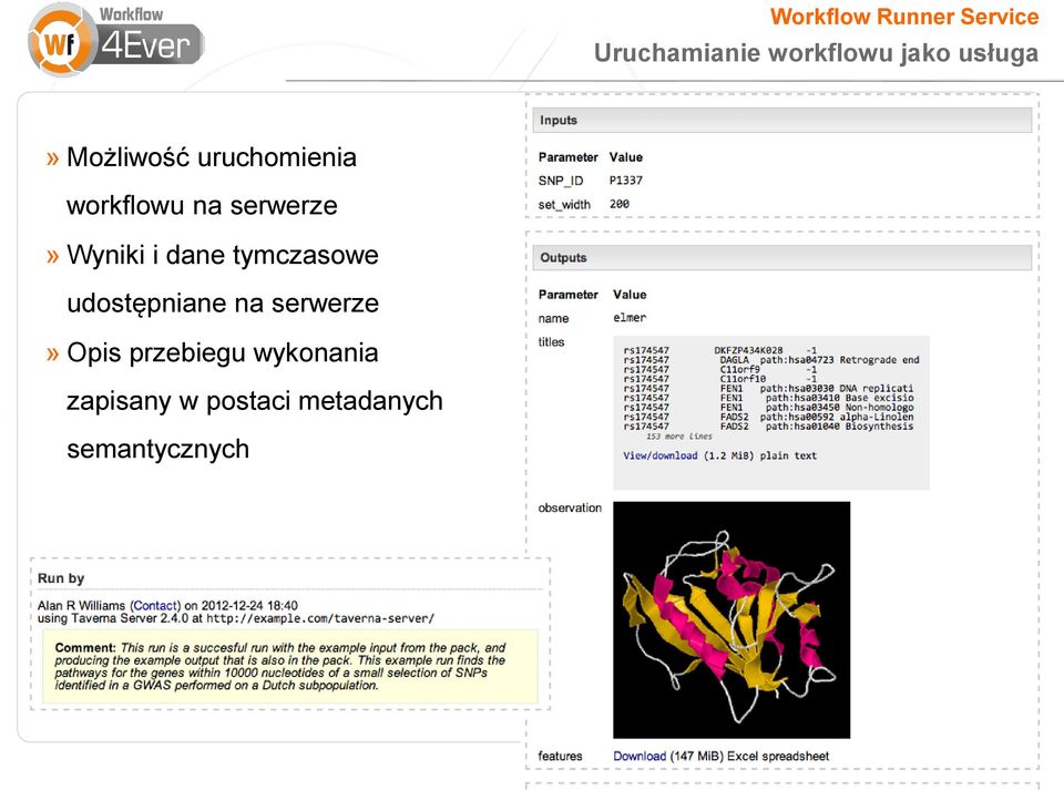 Wyniki i dane tymczasowe udostępniane na serwerze» Opis