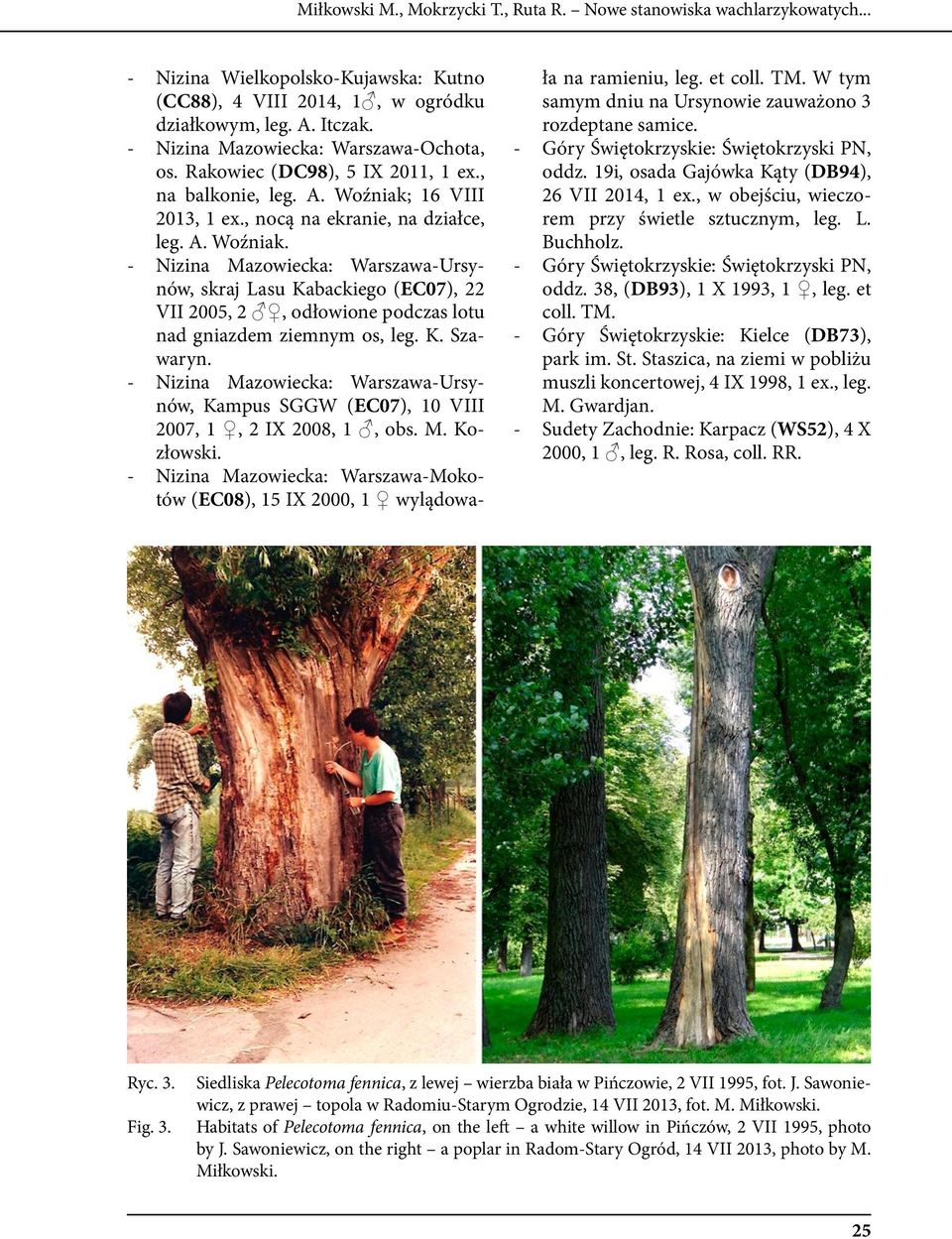 16 VIII 2013, 1 ex., nocą na ekranie, na działce, leg. A. Woźniak.