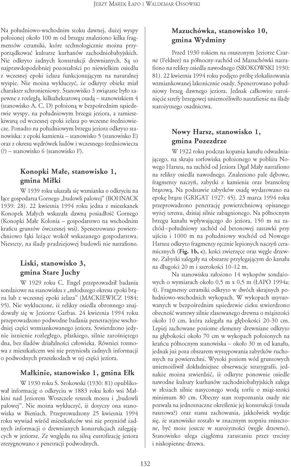 Są to najprawdopodobniej pozostałości po niewielkim osiedlu z wczesnej epoki żelaza funkcjonującym na naturalnej wyspie. Nie można wykluczyć, że odkryty obiekt miał charakter schronieniowy.