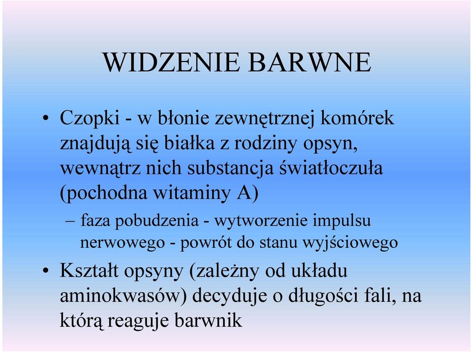 pobudzenia - wytworzenie impulsu nerwowego - powrót do stanu wyjściowego Kształt
