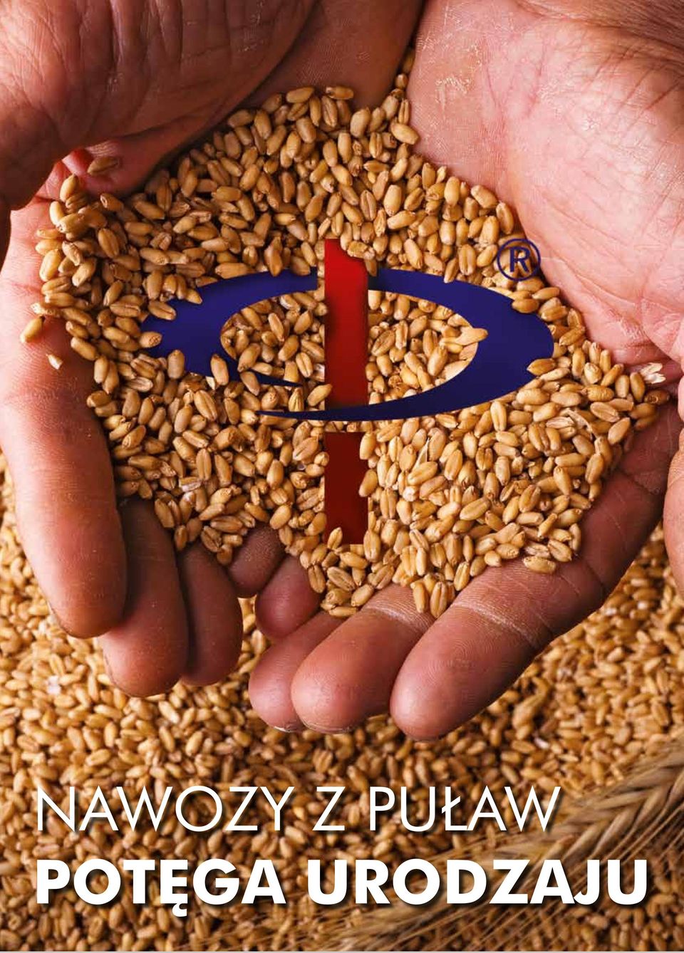 POTĘGA
