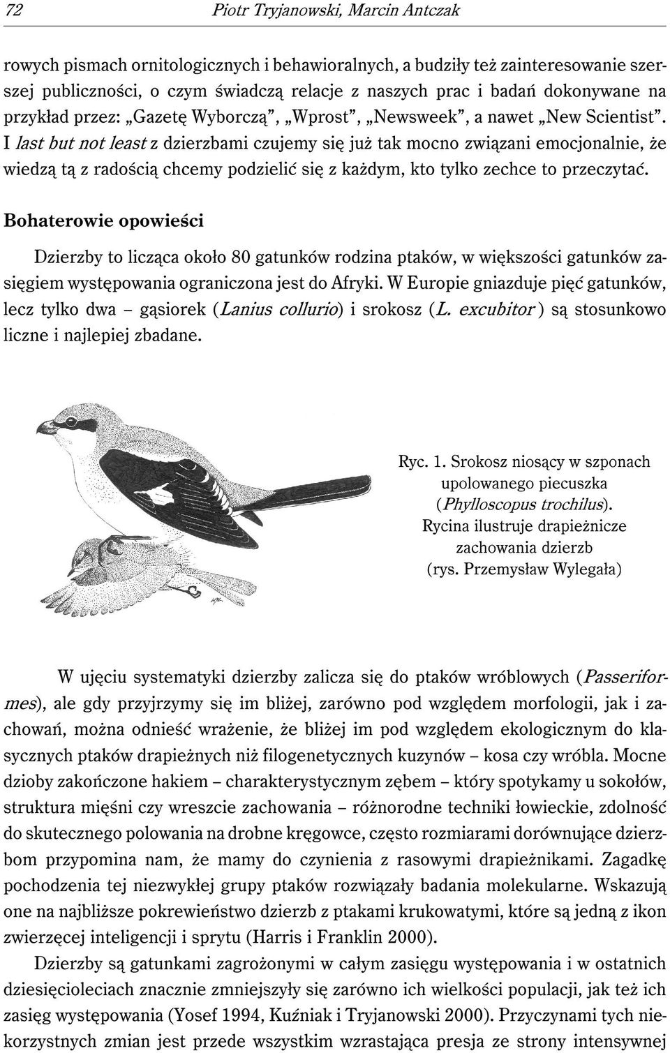 I last but not least z dzierzbami czujemy się już tak mocno związani emocjonalnie, że wiedzą tą z radością chcemy podzielić się z każdym, kto tylko zechce to przeczytać.