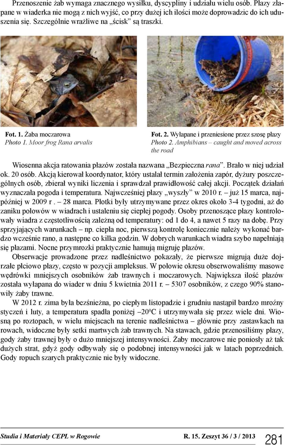 Amphibians caught and moved across the road Wiosenna akcja ratowania płazów została nazwana Bezpieczna rana. Brało w niej udział ok. 20 osób.