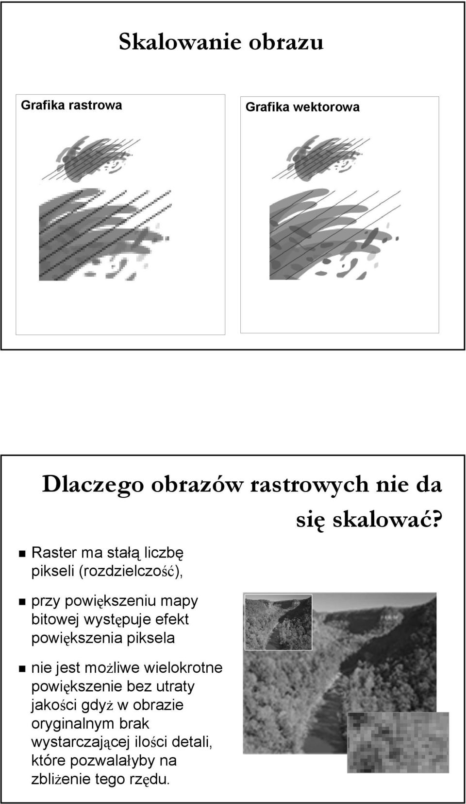 Raster ma stałą liczbę pikseli (rozdzielczość), przy powiększeniu mapy bitowej występuje efekt