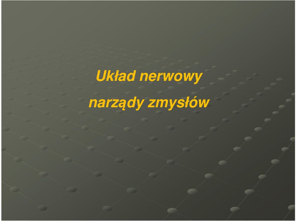 narządy