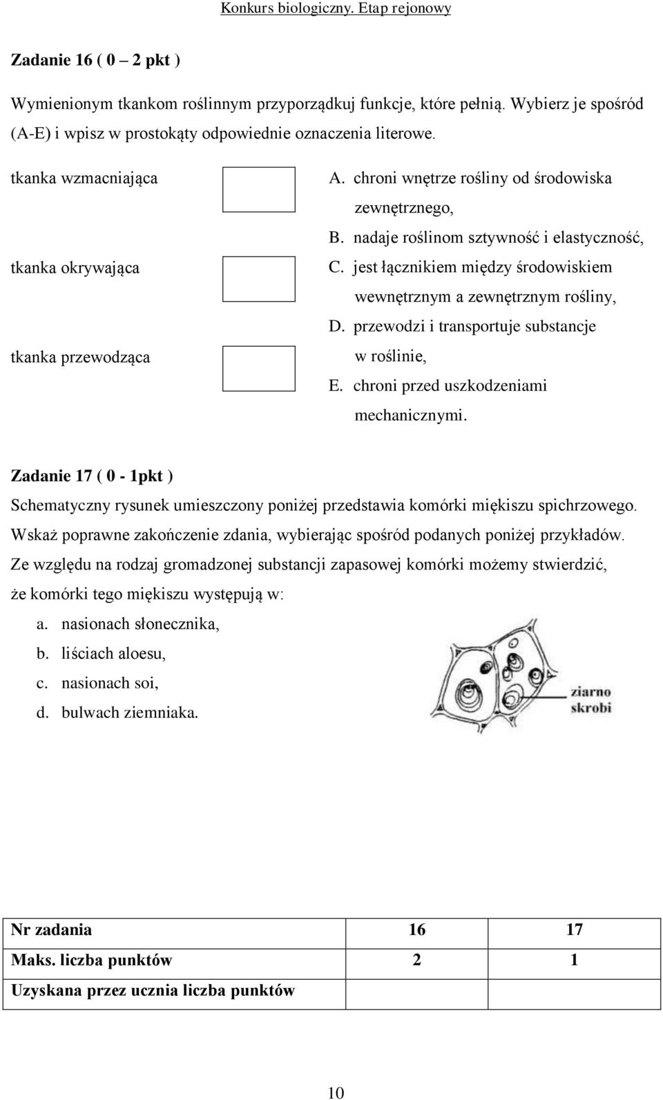 jest łącznikiem między środowiskiem wewnętrznym a zewnętrznym rośliny, D. przewodzi i transportuje substancje w roślinie, E. chroni przed uszkodzeniami mechanicznymi.