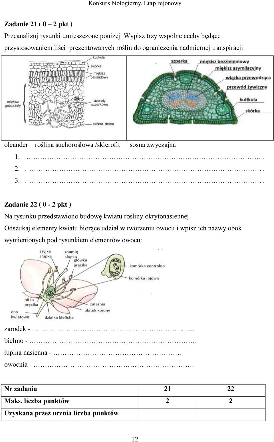 oleander roślina suchoroślowa /sklerofit sosna zwyczajna 1... 2.... 3.
