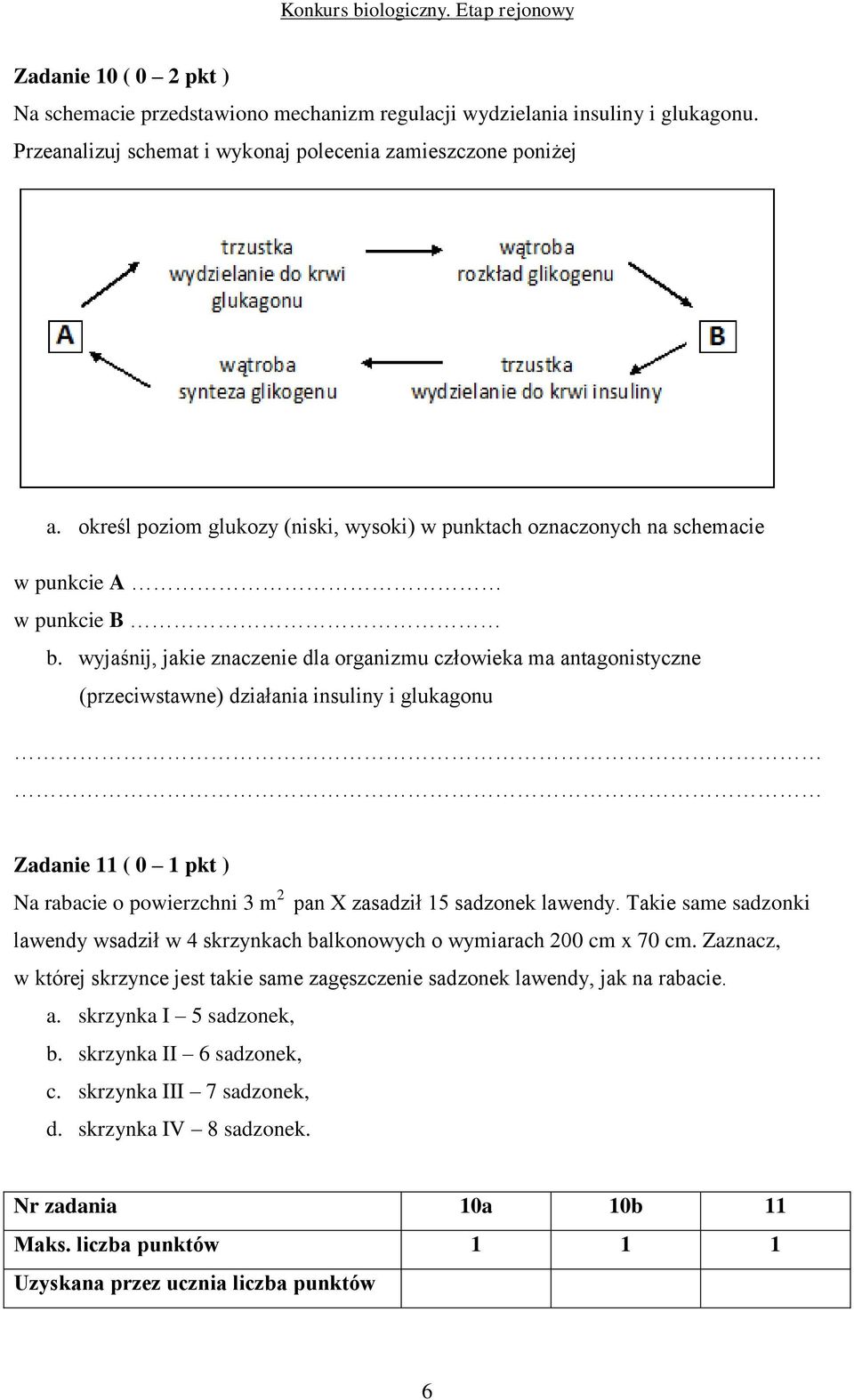 wyjaśnij, jakie znaczenie dla organizmu człowieka ma antagonistyczne (przeciwstawne) działania insuliny i glukagonu Zadanie 11 ( 0 1 pkt ) Na rabacie o powierzchni 3 m 2 pan X zasadził 15 sadzonek
