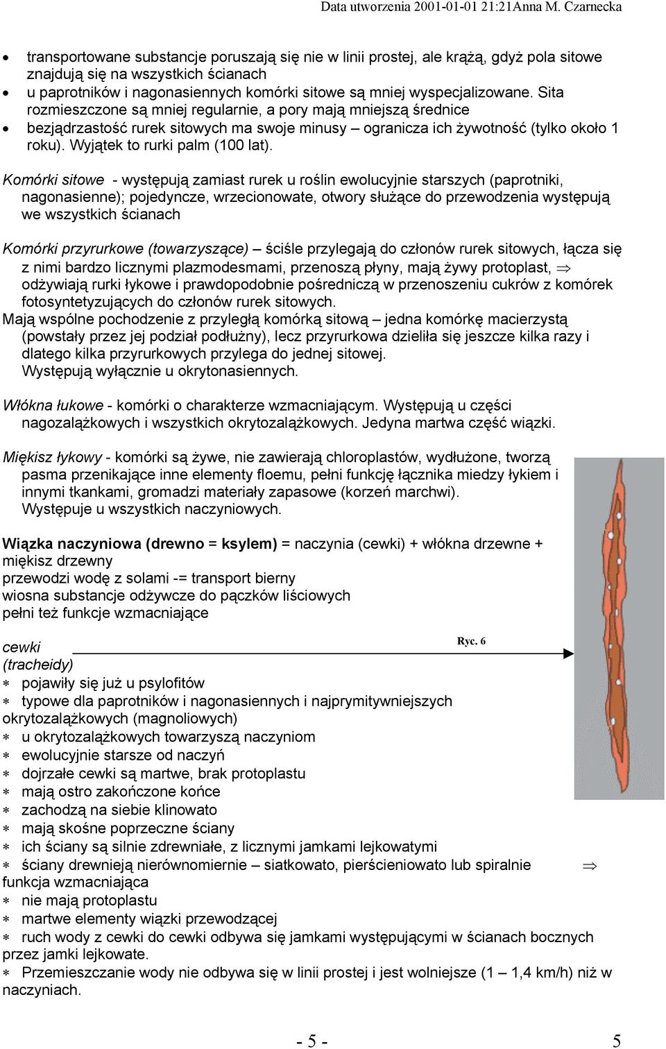 Komórki sitowe - występują zamiast rurek u roślin ewolucyjnie starszych (paprotniki, nagonasienne); pojedyncze, wrzecionowate, otwory służące do przewodzenia występują we wszystkich ścianach Komórki