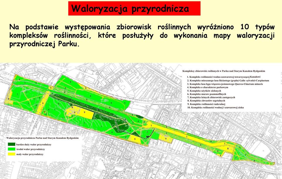 10 typów kompleksów roślinności, które