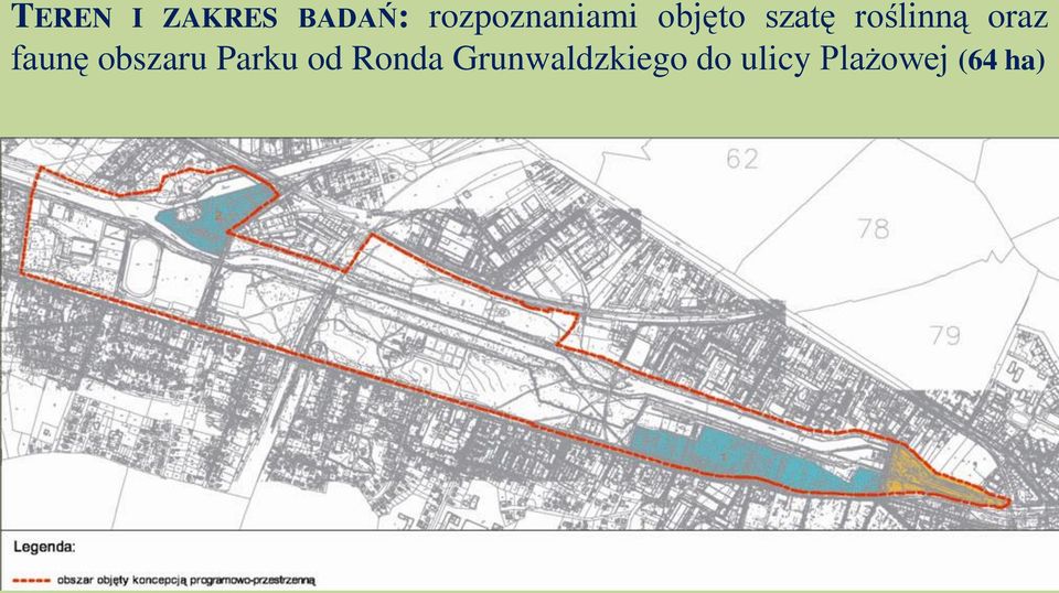 roślinną oraz faunę obszaru