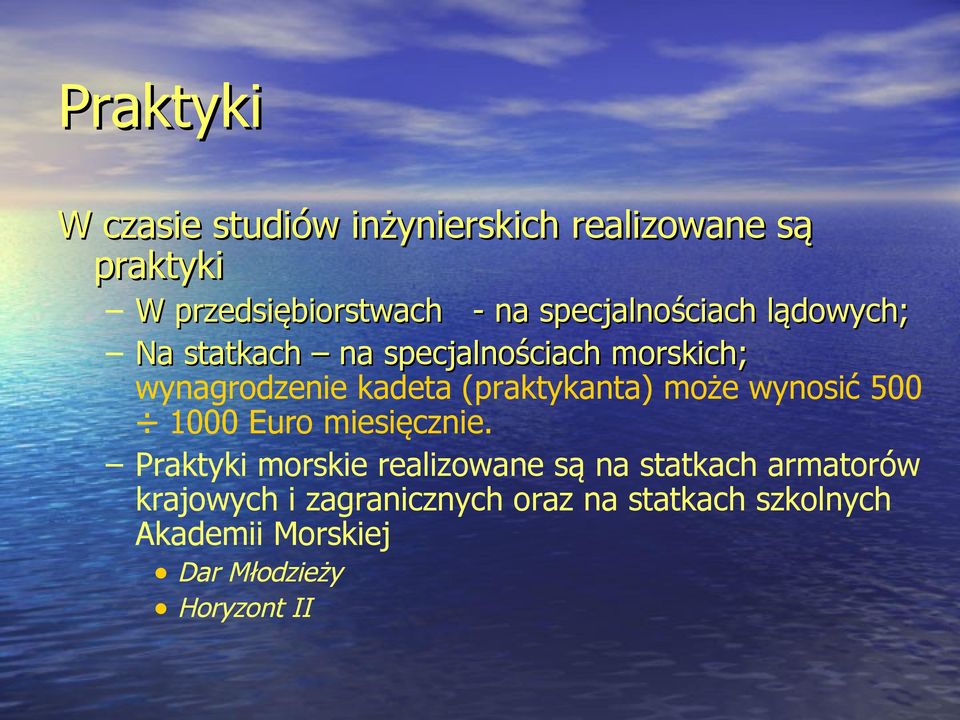 (praktykanta) może wynosić 500 1000 Euro miesięcznie.