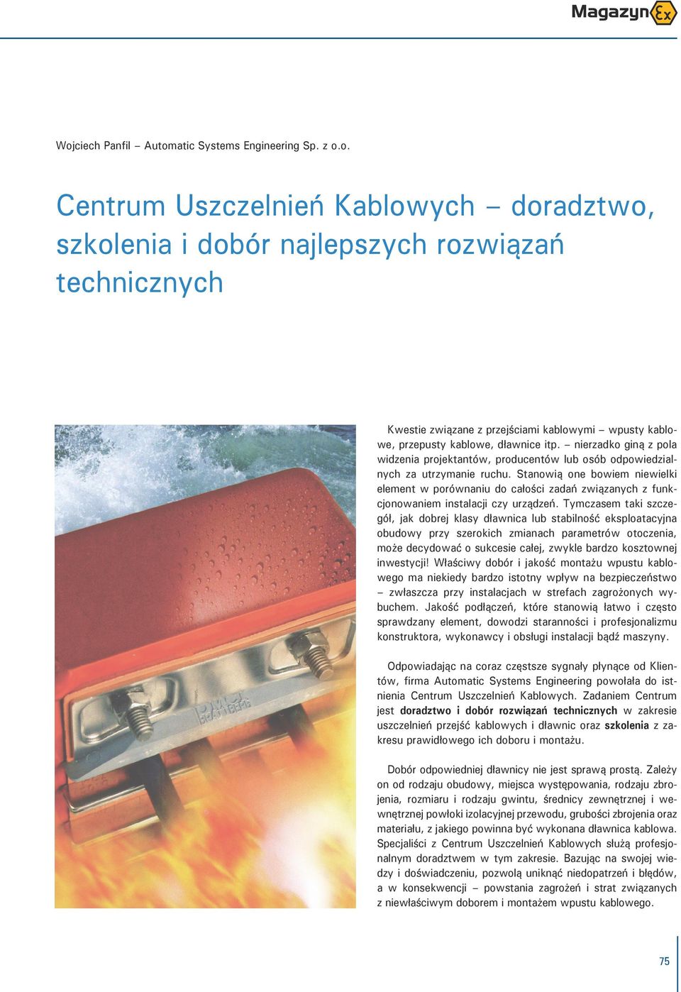 Stanowią one bowiem niewielki element w porównaniu do całości zadań związanych z funkcjonowaniem instalacji czy urządzeń.