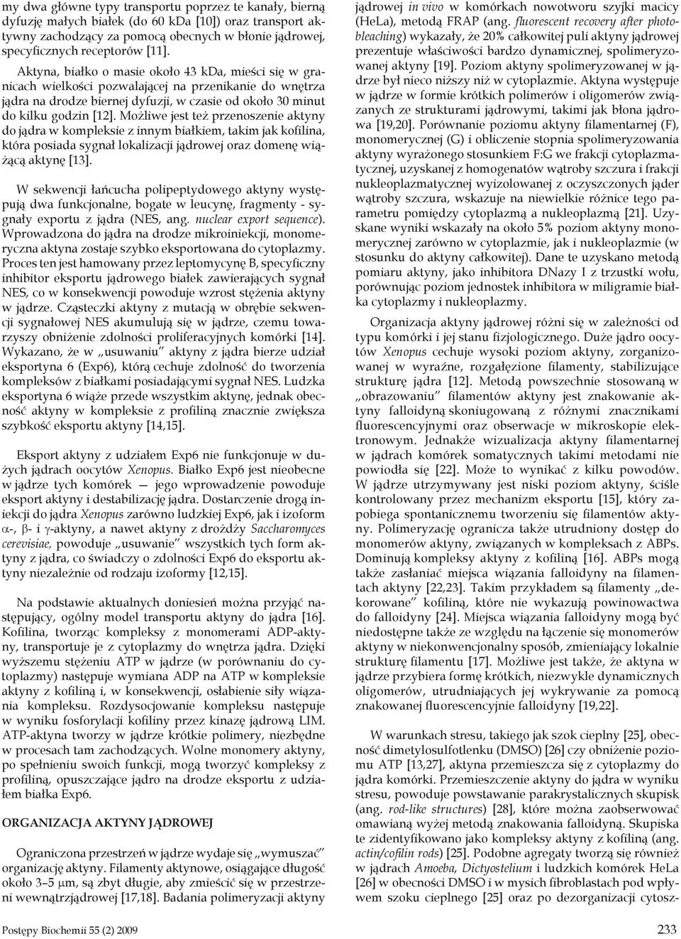 Możliwe jest też przenoszenie aktyny do jądra w kompleksie z innym białkiem, takim jak kofilina, która posiada sygnał lokalizacji jądrowej oraz domenę wiążącą aktynę [13].