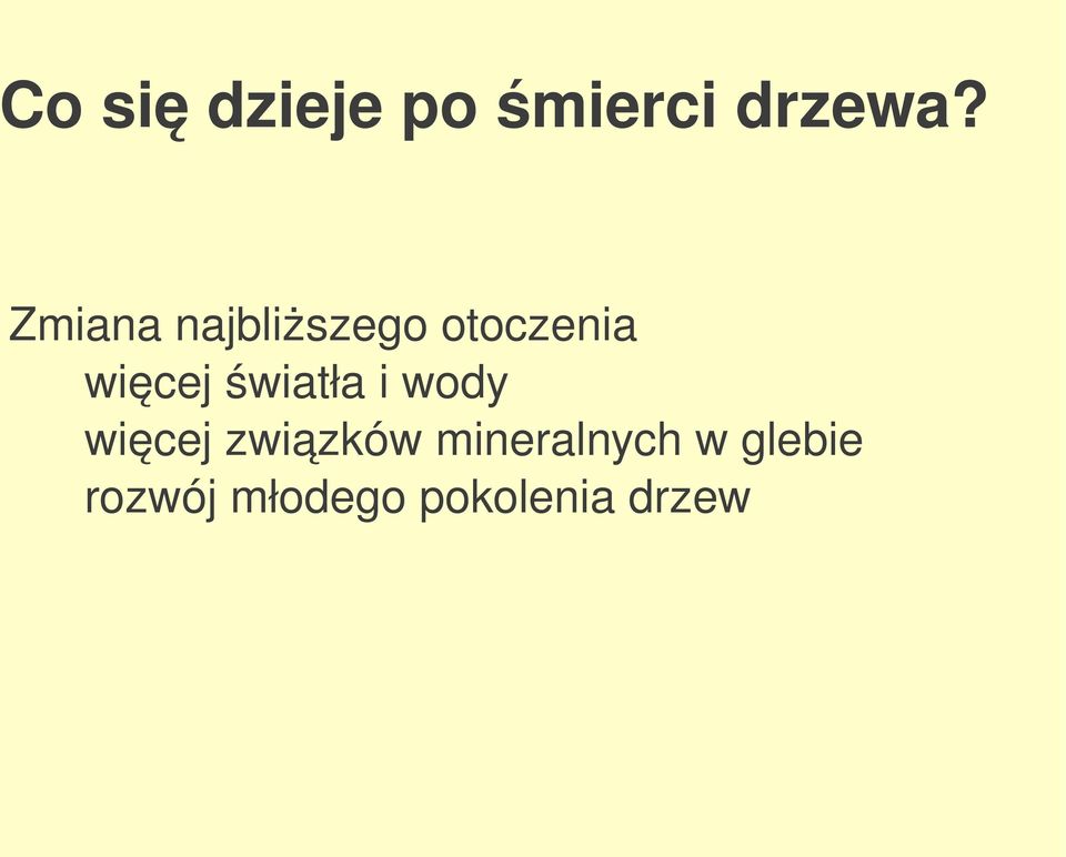więcejświatłaiwody