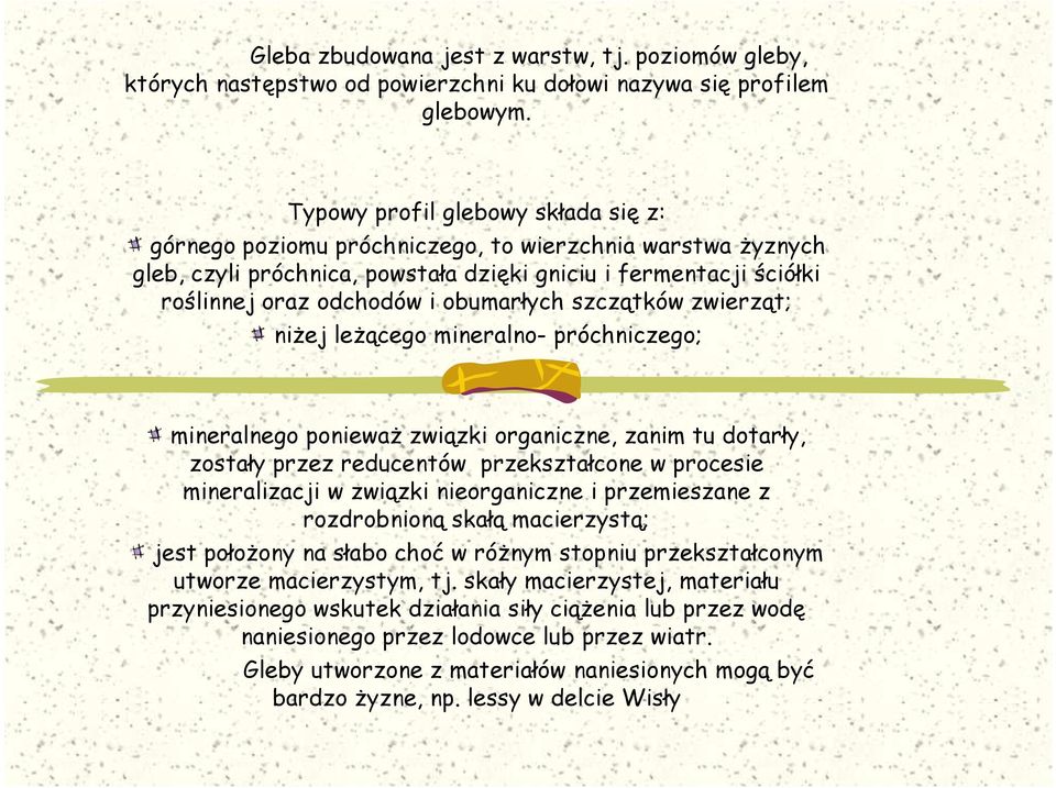 obumarłych szczątków zwierząt; niŝej leŝącego mineralno- próchniczego; mineralnego poniewaŝ związki organiczne, zanim tu dotarły, zostały przez reducentów przekształcone w procesie mineralizacji w