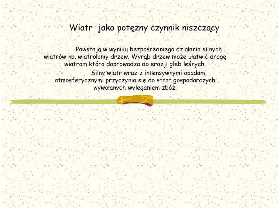 Wyrąb drzew moŝe ułatwić drogę wiatrom która doprowadza do erozji gleb leśnych.
