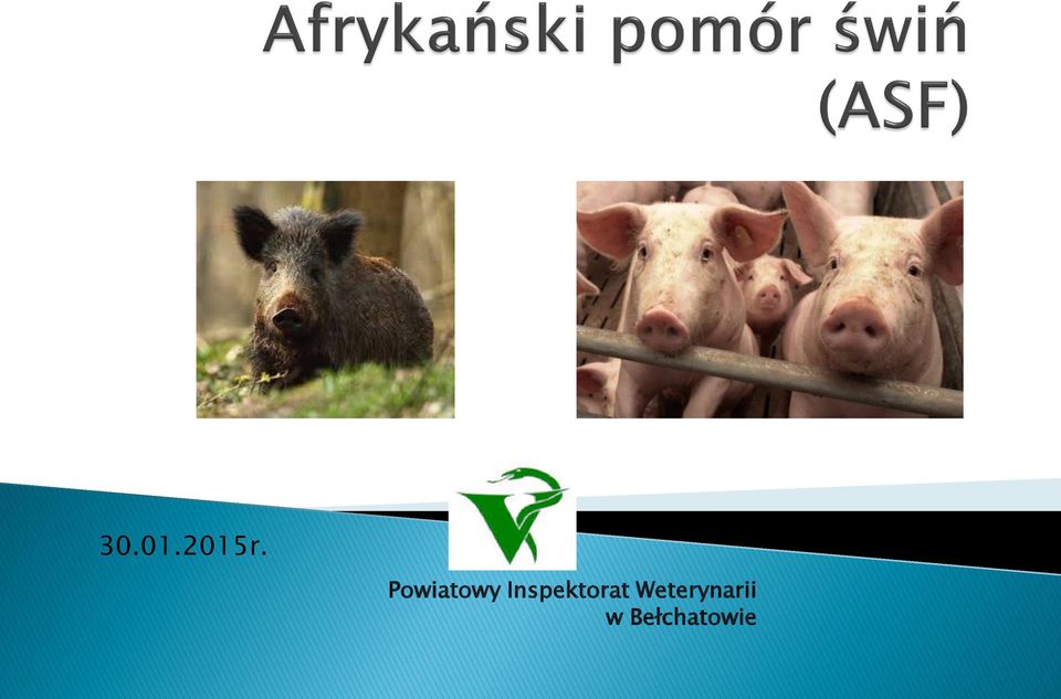 Inspektorat