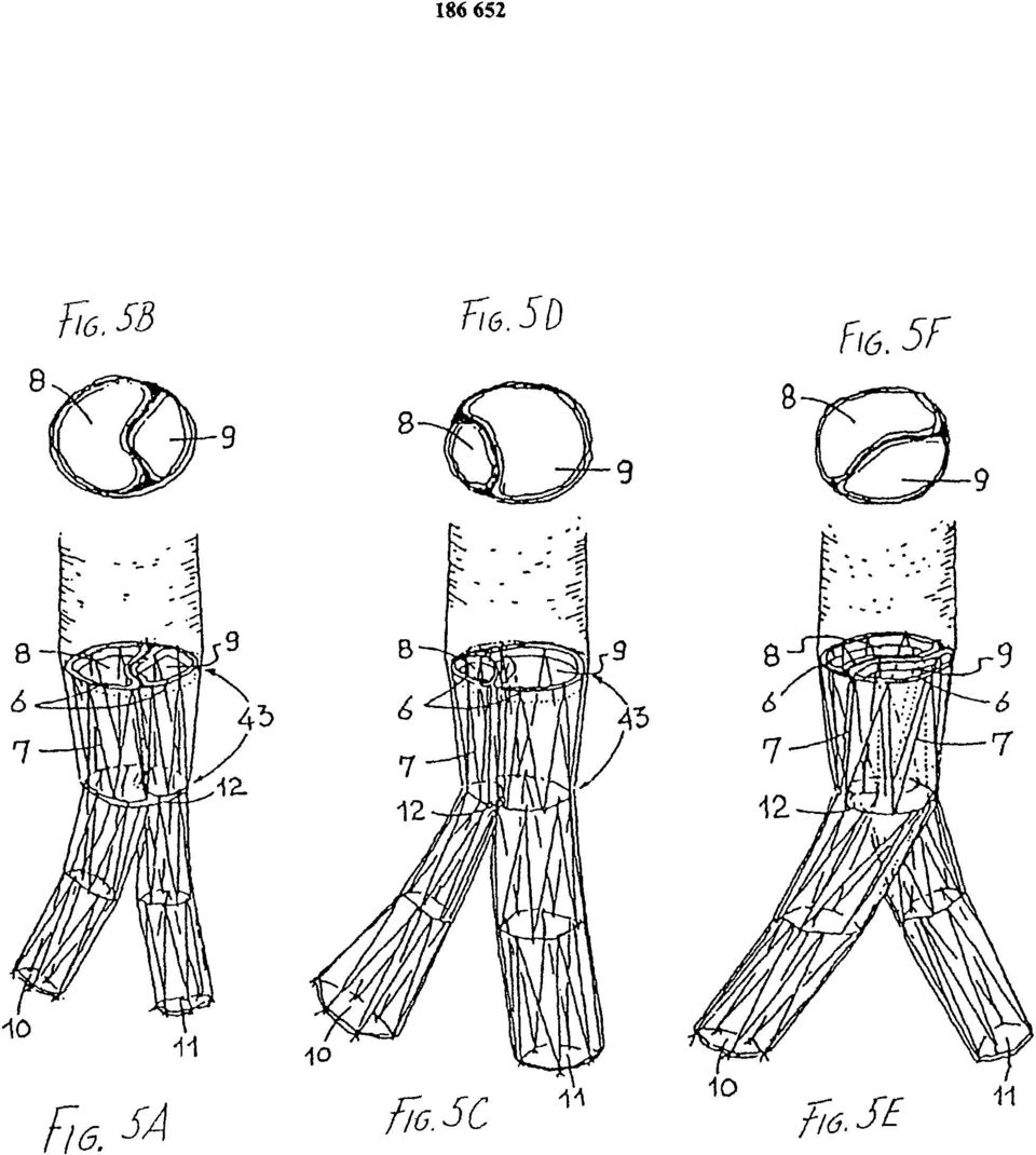 5F FlG.5A FIG.