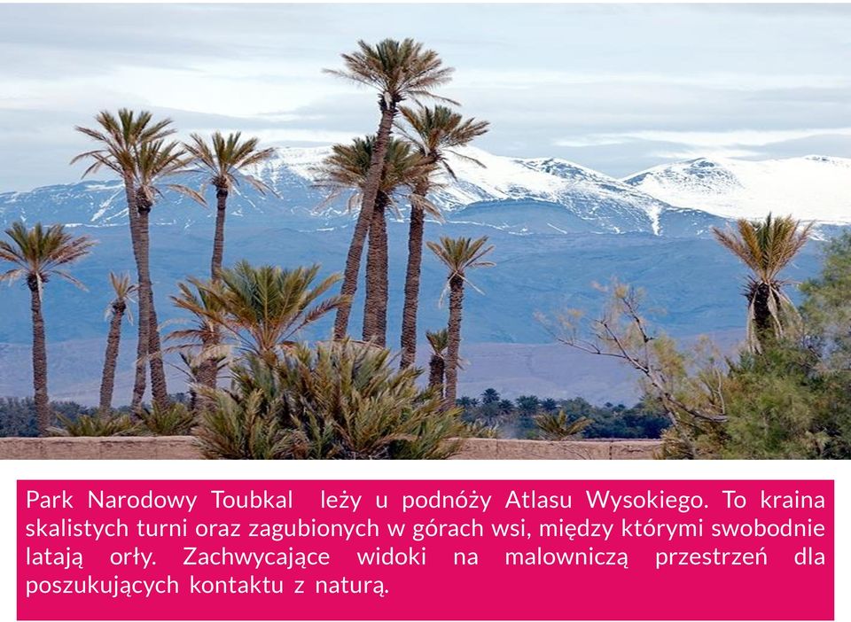 między którymi swobodnie latają orły.