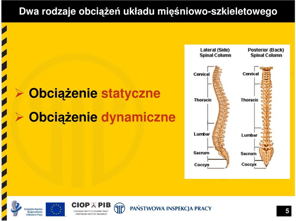 mięśniowo-szkieletowego