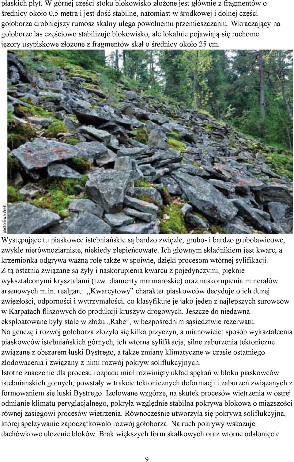powolnemu przemieszczaniu. Wkraczający na gołoborze las częściowo stabilizuje blokowisko, ale lokalnie pojawiają się ruchome jęzory usypiskowe złożone z fragmentów skał o średnicy około 25 cm.