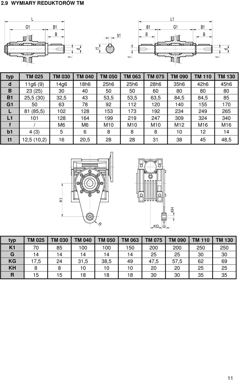 f / M6 M6 M10 M10 M10 M12 M16 M16 b1 4 (3) 5 6 8 8 8 10 12 14 t1 12,5 (10,2) 16 20,5 28 28 31 38 45 48,5 KH K1 R KG G typ TM 025 TM 030 TM 040 TM 050 TM 063 TM 075 TM 090 TM