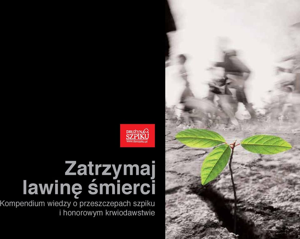 wiedzy o przeszczepach