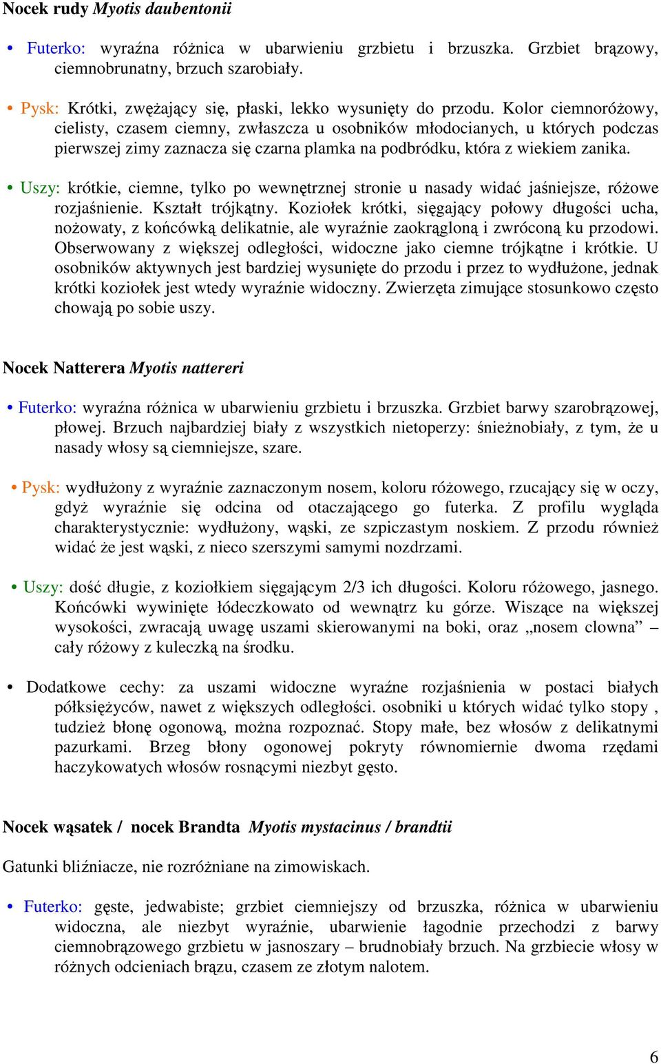 Uszy: krótkie, ciemne, tylko po wewntrznej stronie u nasady wida janiejsze, róowe rozjanienie. Kształt trójktny.
