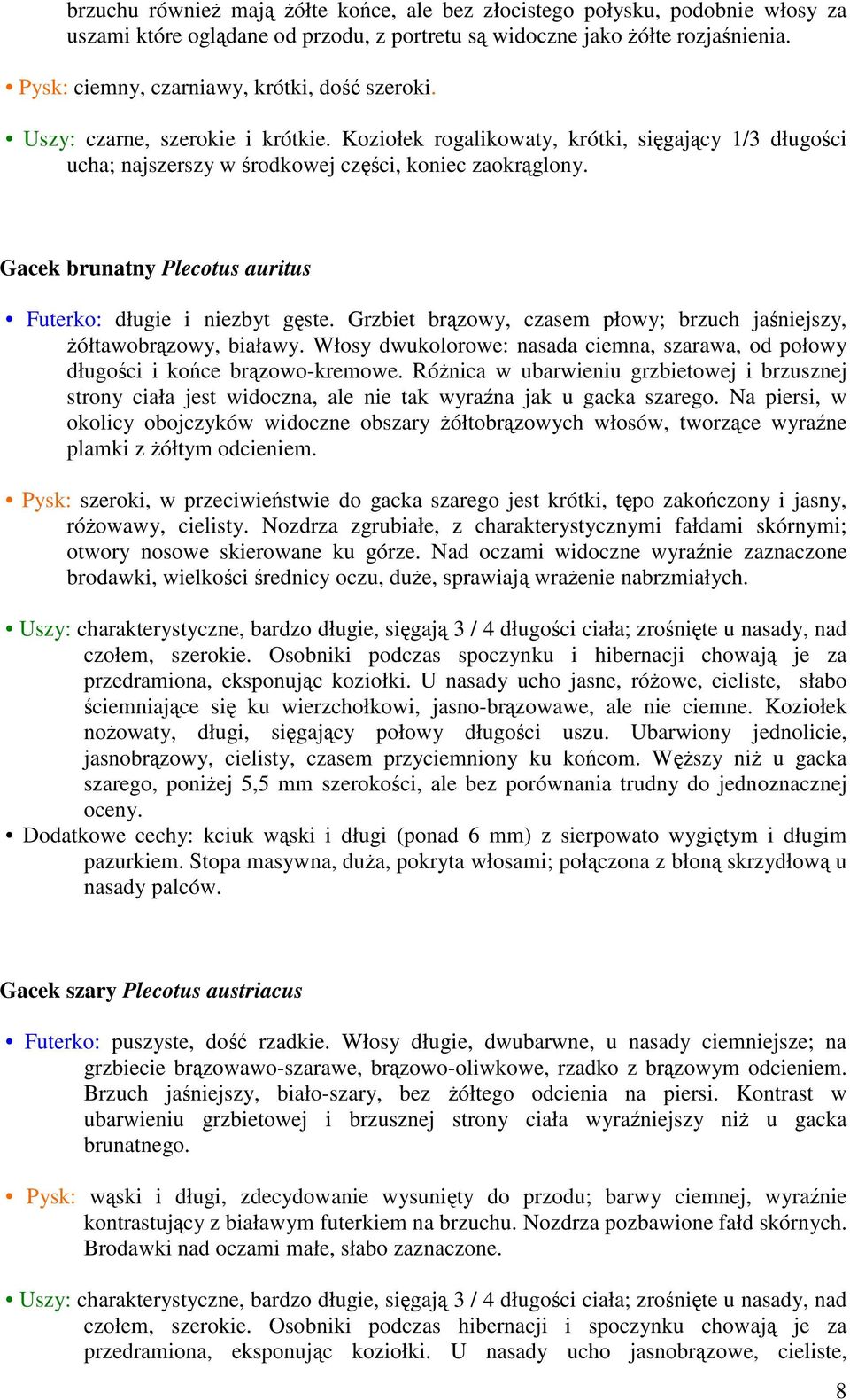 Gacek brunatny Plecotus auritus Futerko: długie i niezbyt gste. Grzbiet brzowy, czasem płowy; brzuch janiejszy, ółtawobrzowy, białawy.