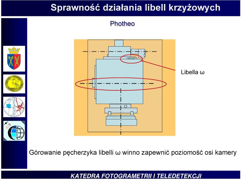 Górowanie pęcherzyka libelli ω