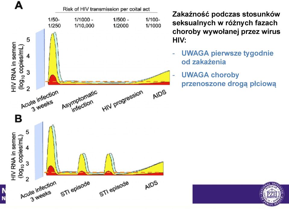 wirus HIV: - UWAGA pierwsze tygodnie od