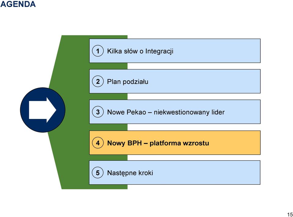 niekwestionowany lider 4 Nowy BPH